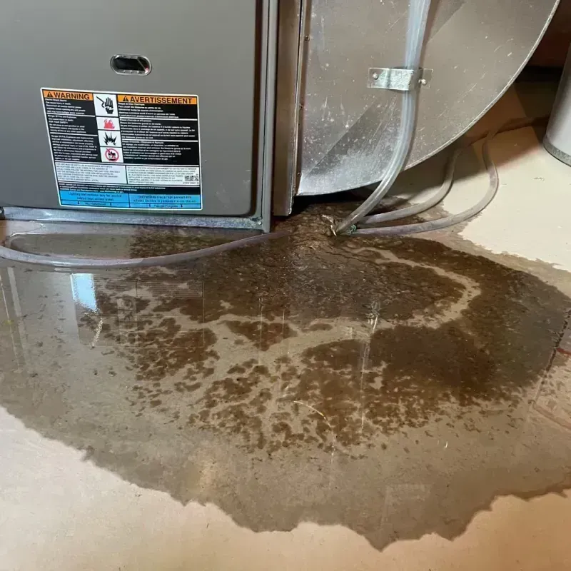 Appliance Leak Cleanup in Hinsdale County, CO